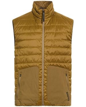 Colmar Gilet - Green