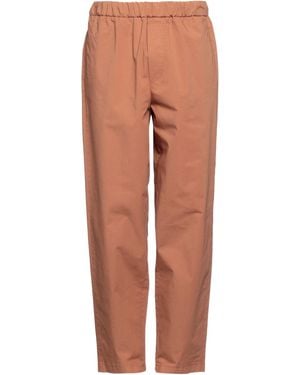 Alpha Studio Trouser - Brown