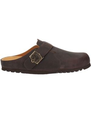 Scholl Mules & Clogs - Brown