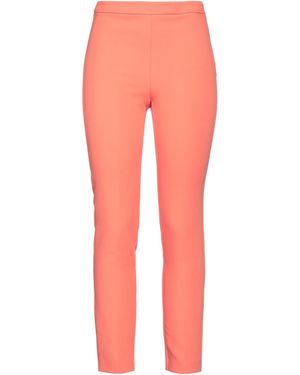 Pennyblack Trouser - Pink