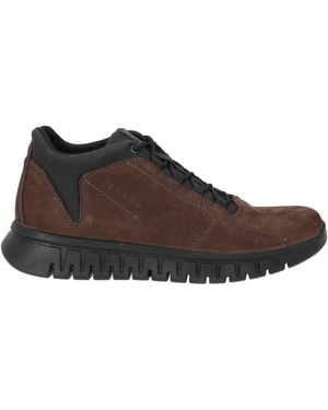 Igi&co Trainers - Brown