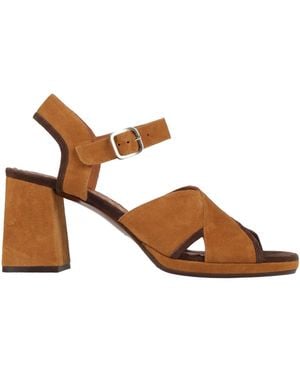 Chie Mihara Sandals - Brown