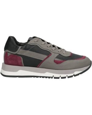 Cerruti 1881 Trainers Calfskin - Grey