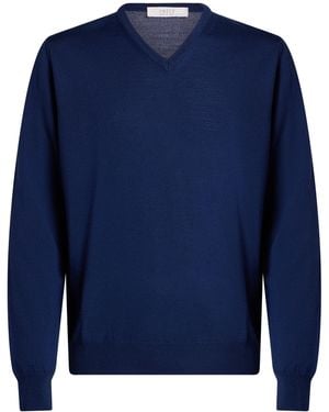 Vneck Sweaters - Blue