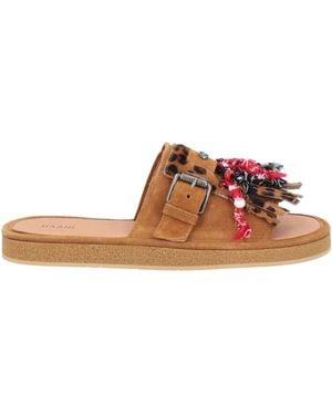 HAANI Sandals - Brown