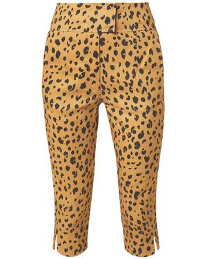 Nicholas Pantalone - Multicolore