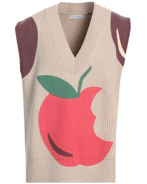 JW Anderson Jumper - Pink