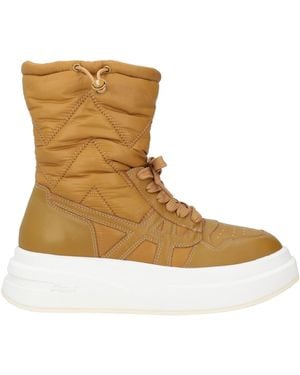 Ash Ankle Boots - Brown