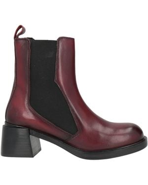 CafeNoir Bottines - Violet
