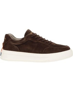 Barracuda Sneakers - Brown
