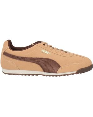 PUMA Sneakers - Brown
