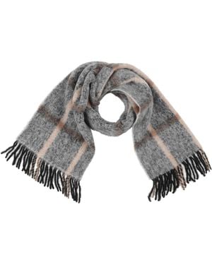 Peserico Light Scarf Alpaca Wool, Polyamide - Gray