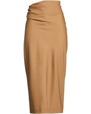 Alberta Ferretti Light Midi Skirt Polyester, Wool, Elastane - Brown