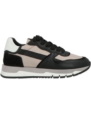 Cerruti 1881 Taupe Trainers Cow Leather - Black