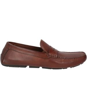Piumi Loafers Leather - Brown