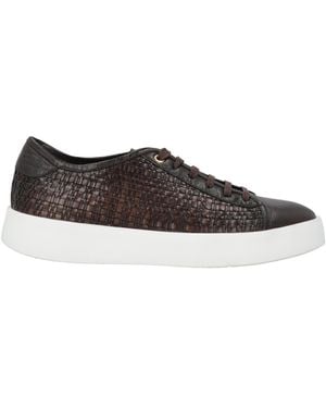 Corvari Sneakers - Marrón