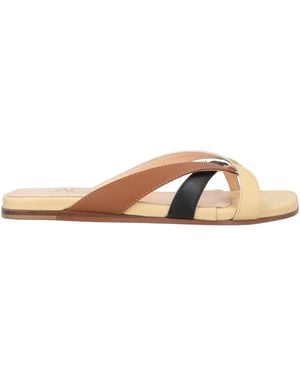 Agl Attilio Giusti Leombruni Thong Sandal - Multicolour
