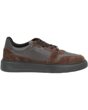 Baldinini Trainers - Brown