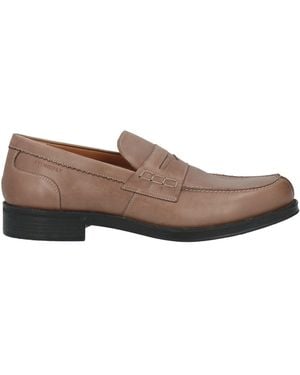 Stonefly Loafers Calfskin - Brown