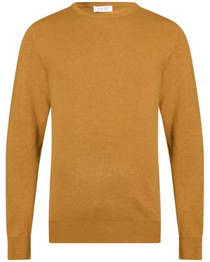 Exte Pullover - Braun