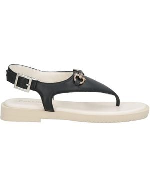 Pollini Thong Sandal - Black