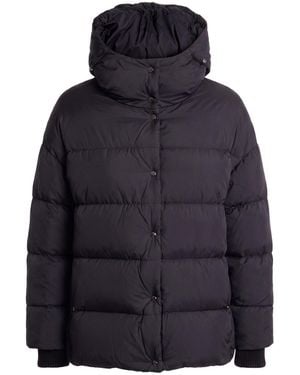Herno Puffer Polyamide - Blue
