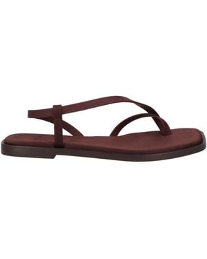 Piferi Thong Sandal - Brown