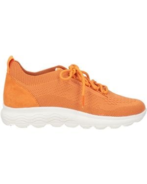 Geox Sneakers - Arancione