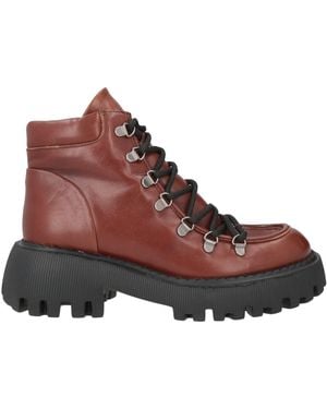 Cerruti 1881 Ankle Boots Cow Leather - Brown