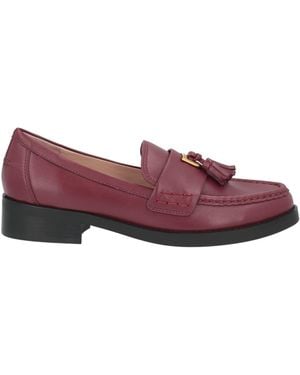 Coccinelle Loafer - Purple