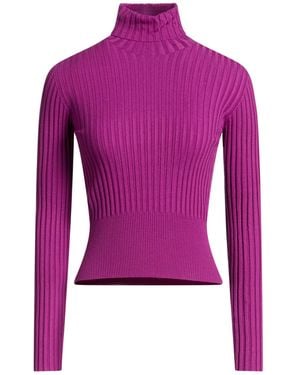 Daniele Fiesoli Mauve Turtleneck Viscose, Polyamide, Nylon - Purple