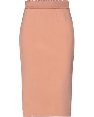 Elisabetta Franchi Gonna Midi - Multicolore