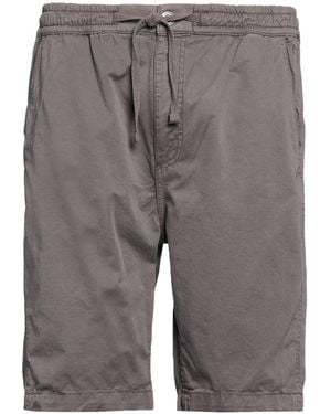 Alpha Industries Shorts & Bermuda Shorts - Gray