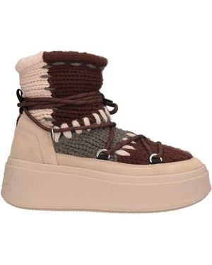 Ash Ankle Boots - Brown