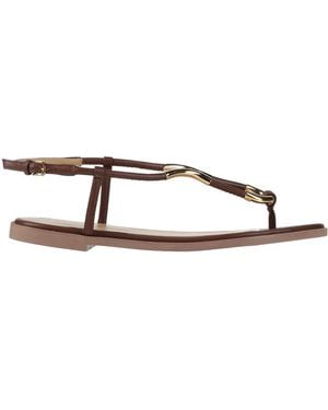 Sergio Rossi Thong Sandal - Multicolor
