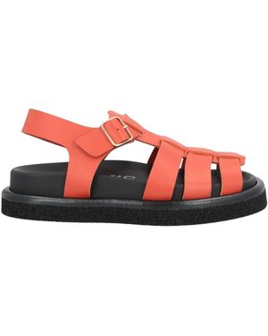 Seboy's Sandals - Red