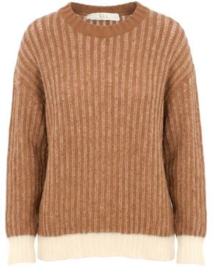 Tela Camel Sweater Wool, Acrylic, Mohair Wool, Polyamide - Brown