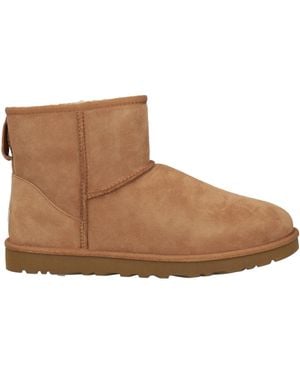 UGG Ankle Boots - Brown