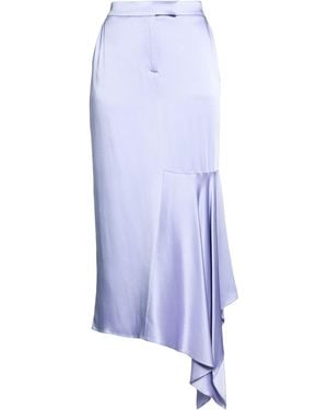 Tom Ford Midi Skirt - Blue