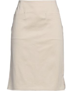 Alberta Ferretti Gonna Midi - Neutro