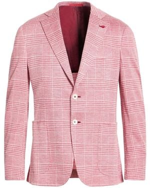 Isaia Americana - Rosa