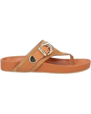 Baldinini Thong Sandal - Brown