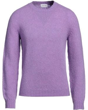 Scaglione Sweater - Purple