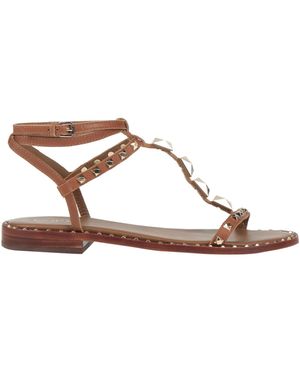 Ash Sandals - Brown