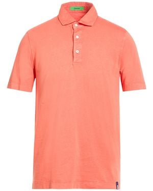 Drumohr Polo Shirt - Pink
