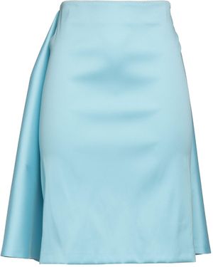 Sportmax Midi Skirt - Blue