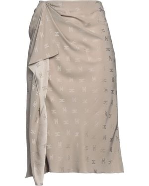 Celine Midi Skirt - Gray