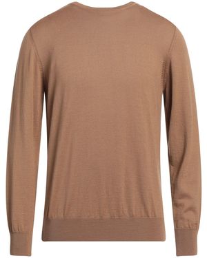 ANT/WERP Pullover - Marrone