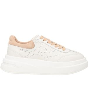 Ash Cream Sneakers Calfskin - White