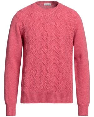 Aion Jumper Virgin Wool - Pink
